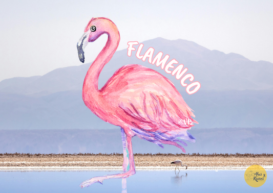 Flamenco: el ave del color del atardecer