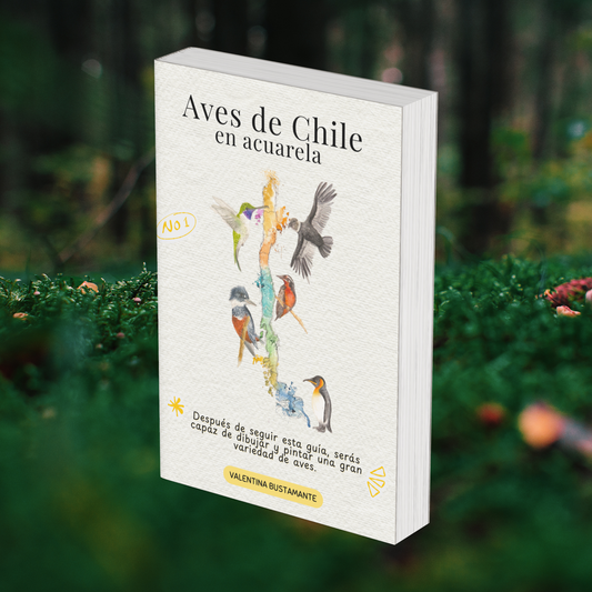 Aves de Chile: Guía Completa de Dibujo y Pintura