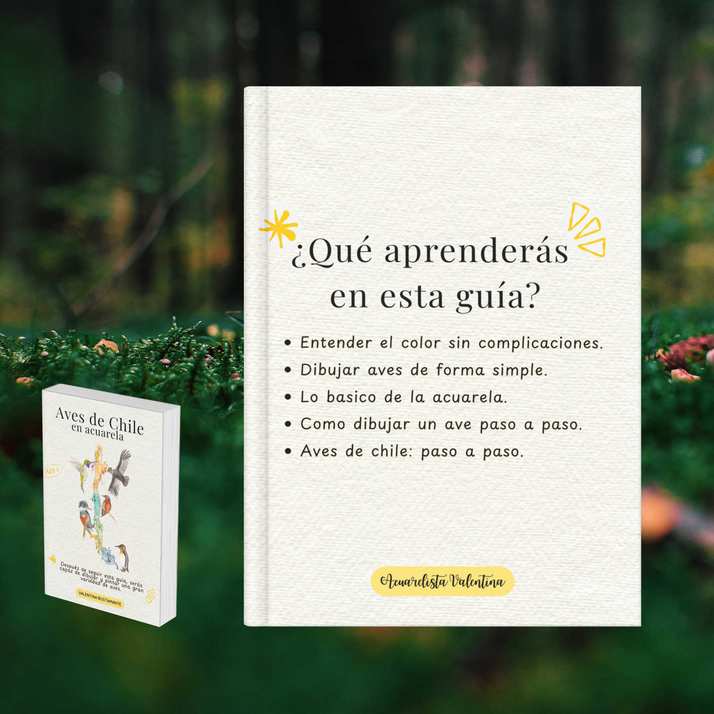Aves de Chile: Guía Completa de Dibujo y Pintura