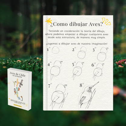 Aves de Chile: Guía Completa de Dibujo y Pintura