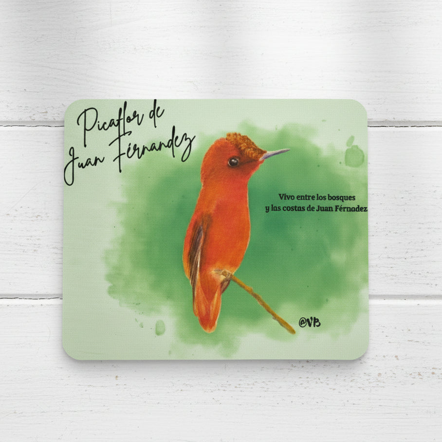 Mouse Pad