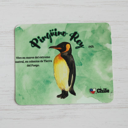 Mouse Pad