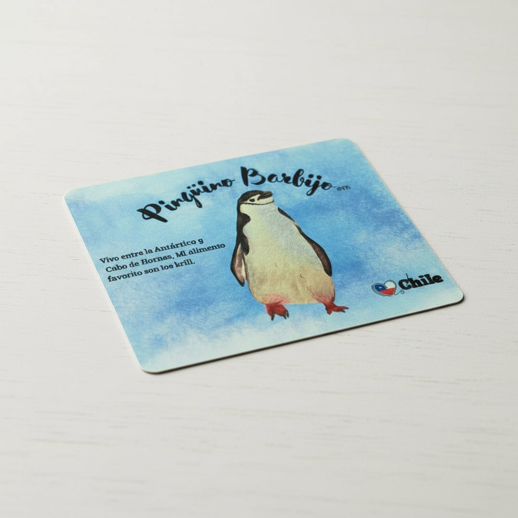 Mouse Pad