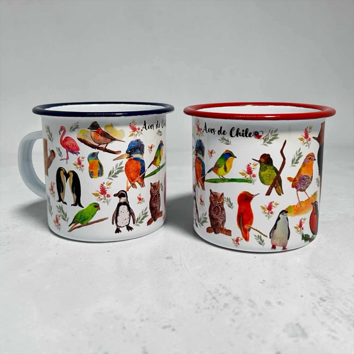 Dos tazones enlozados Alas y raíces con ilustraciones coloridas de aves nativas de Chile y bordes de colores.